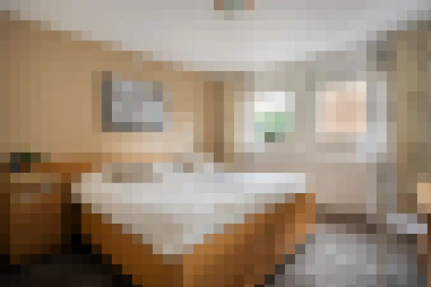 Cliviastraat 6 Denekamp thumbnail 18