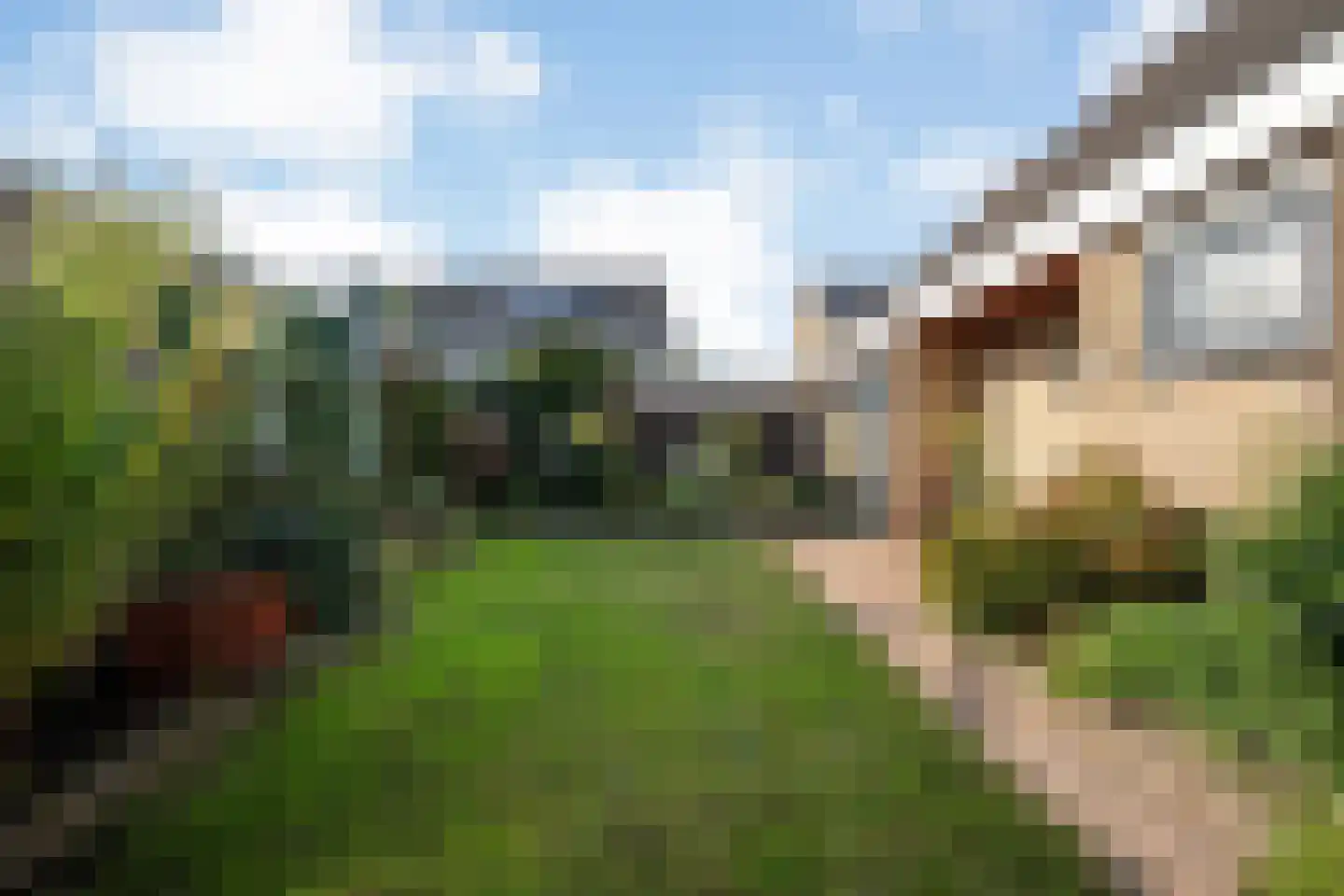 Cliviastraat 6 Denekamp thumbnail 24