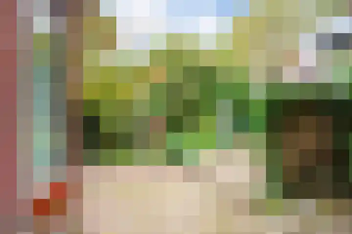Cloekemaat 5 Zevenaar thumbnail 24