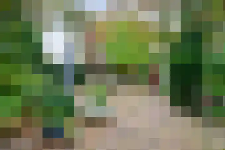 Cloekemaat 5 Zevenaar thumbnail 26