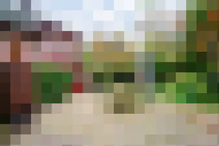 Cloekemaat 5 Zevenaar thumbnail 28