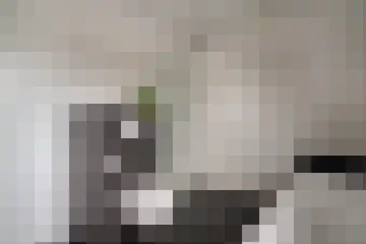 Cloekemaat 5 Zevenaar thumbnail 37