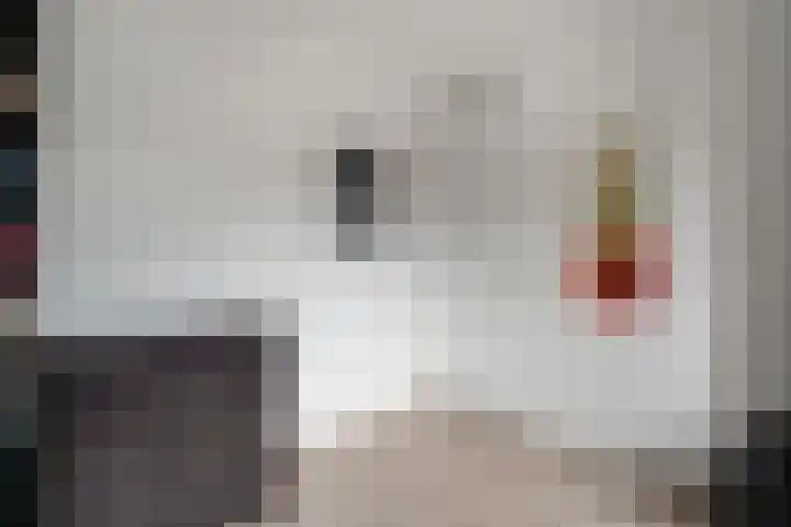 Cloekemaat 5 Zevenaar thumbnail 42