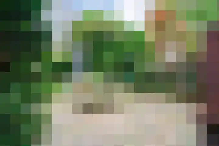 Cloekemaat 5 Zevenaar thumbnail 5