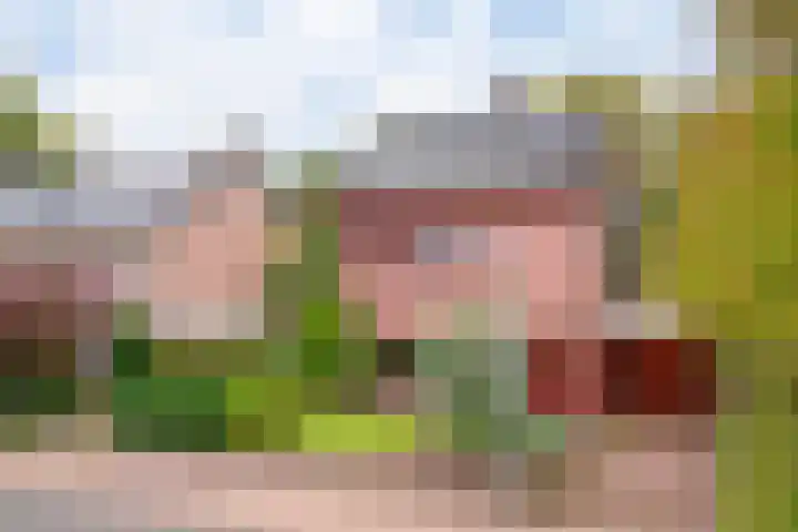 Cloekemaat 5 Zevenaar thumbnail 7