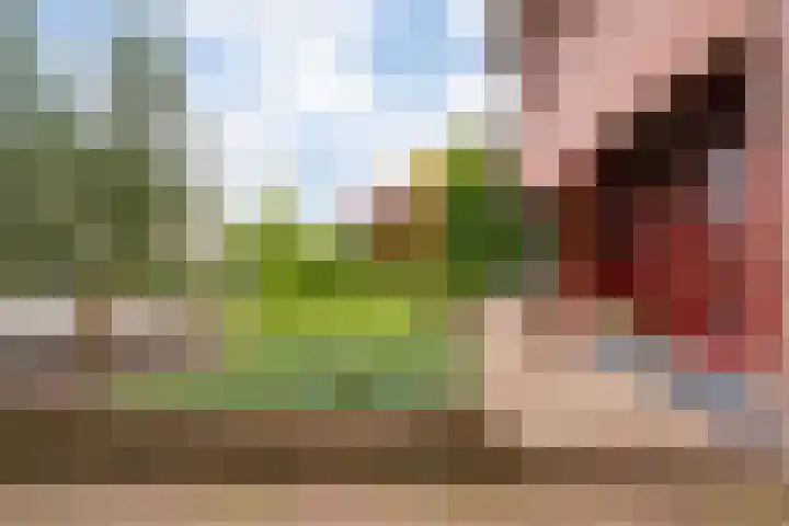 Cloekemaat 5 Zevenaar thumbnail 9