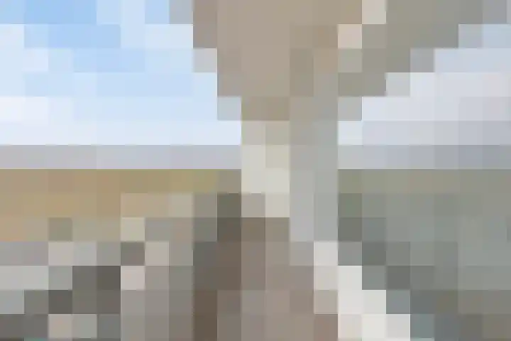 Cloekplein 100 Arnhem thumbnail 26