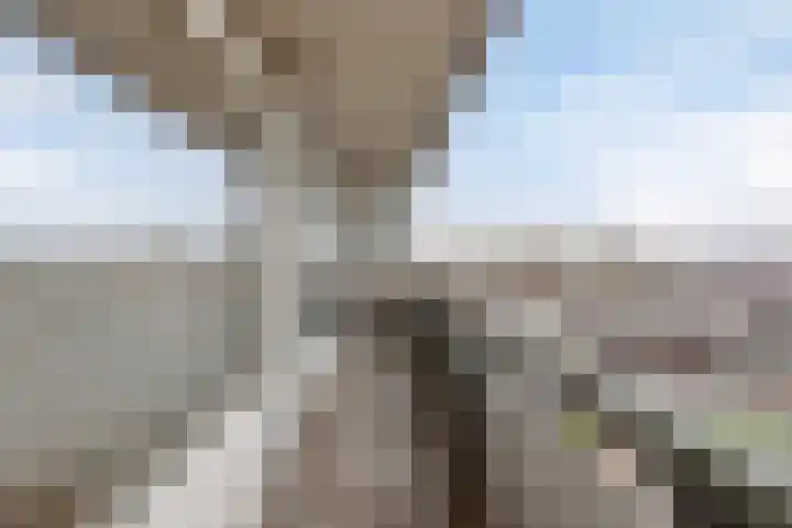 Cloekplein 100 Arnhem thumbnail 5