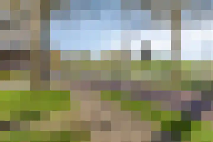 Cloekplein 108 Arnhem thumbnail 23