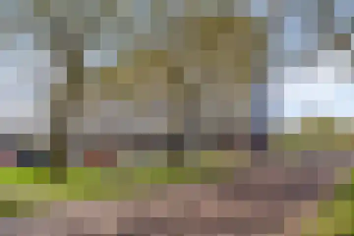 Cloekplein 108 Arnhem thumbnail 28