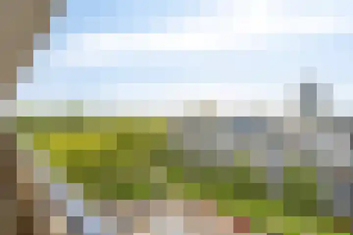 Cloekplein 136 Arnhem thumbnail 9