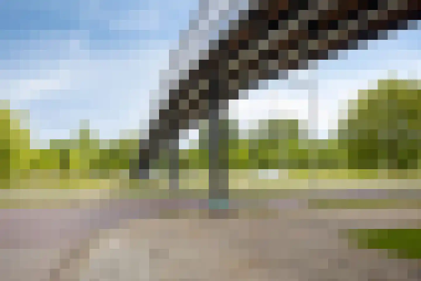 Cloekplein 38 Arnhem thumbnail 32