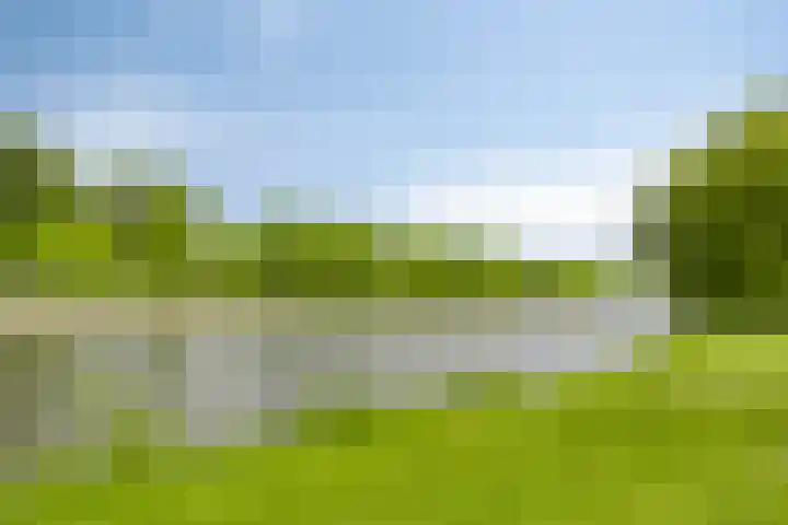 Cloekplein 64 Arnhem thumbnail 22