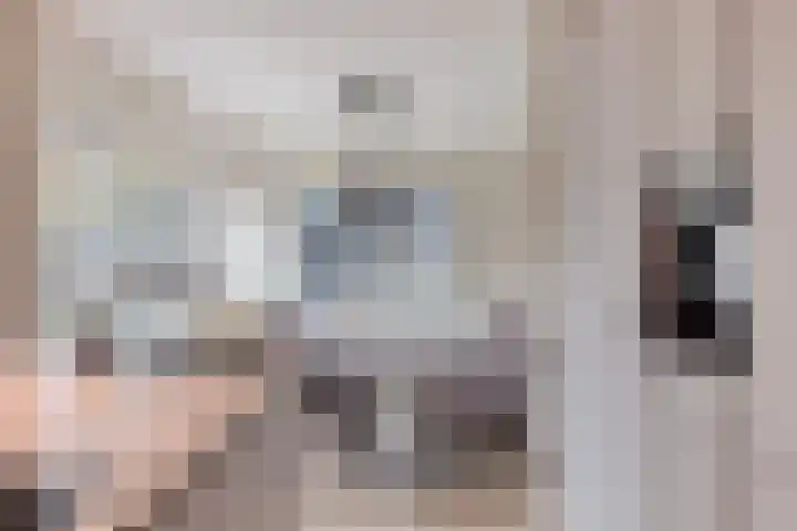 Cloete 10 Oirschot thumbnail 15