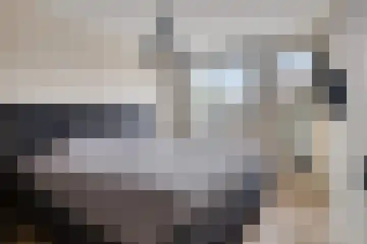 Cloete 10 Oirschot thumbnail 21