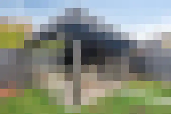 Cloete 10 Oirschot thumbnail 33