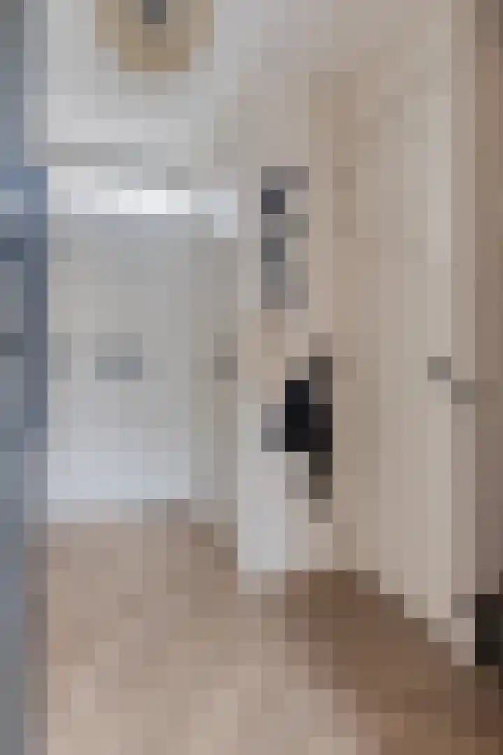 Cloete 10 Oirschot thumbnail 7