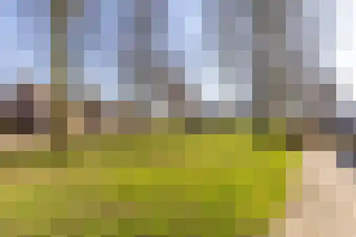 Cloete 18 Oirschot thumbnail 35