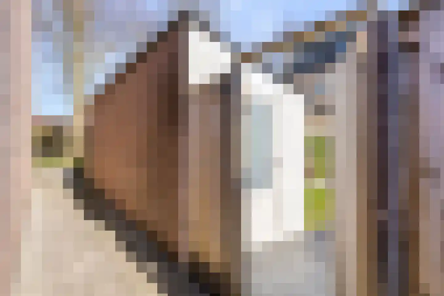 Cloete 24 Oirschot thumbnail 37