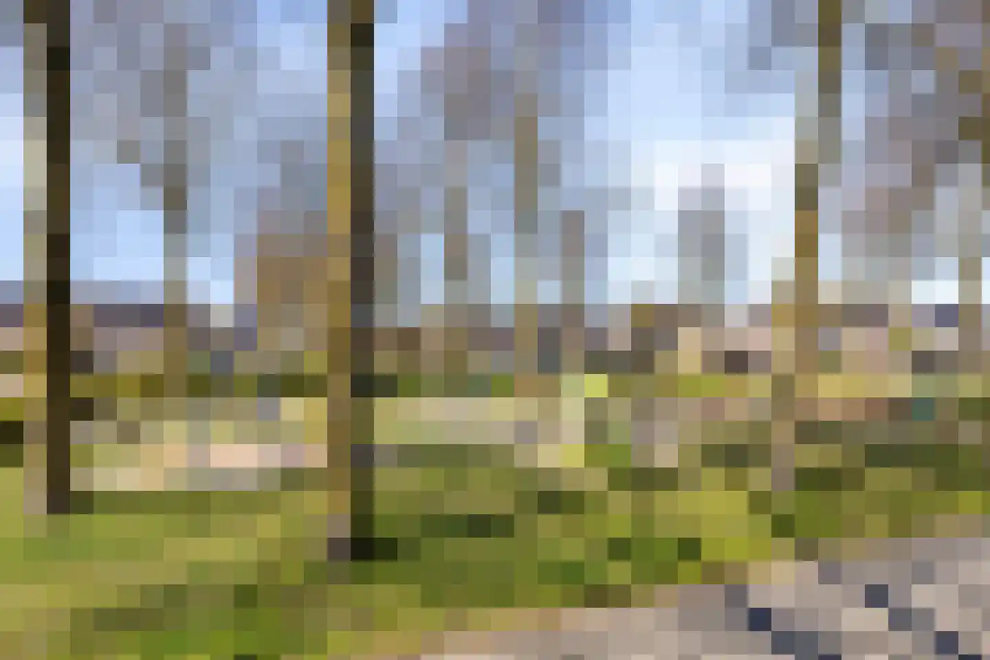 Cloete 24 Oirschot thumbnail 42