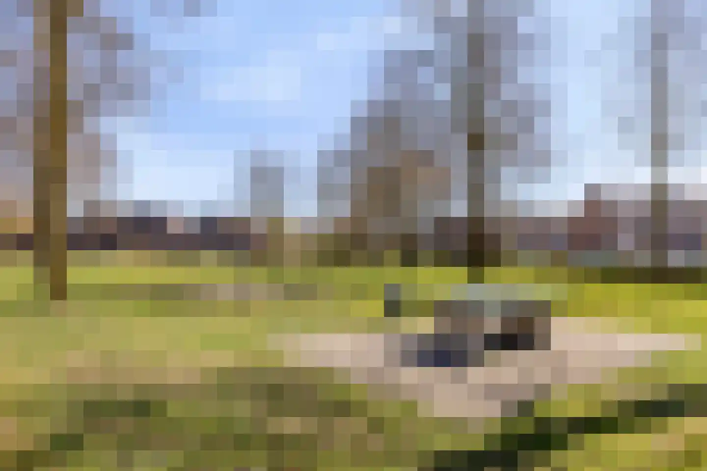 Cloete 24 Oirschot thumbnail 44