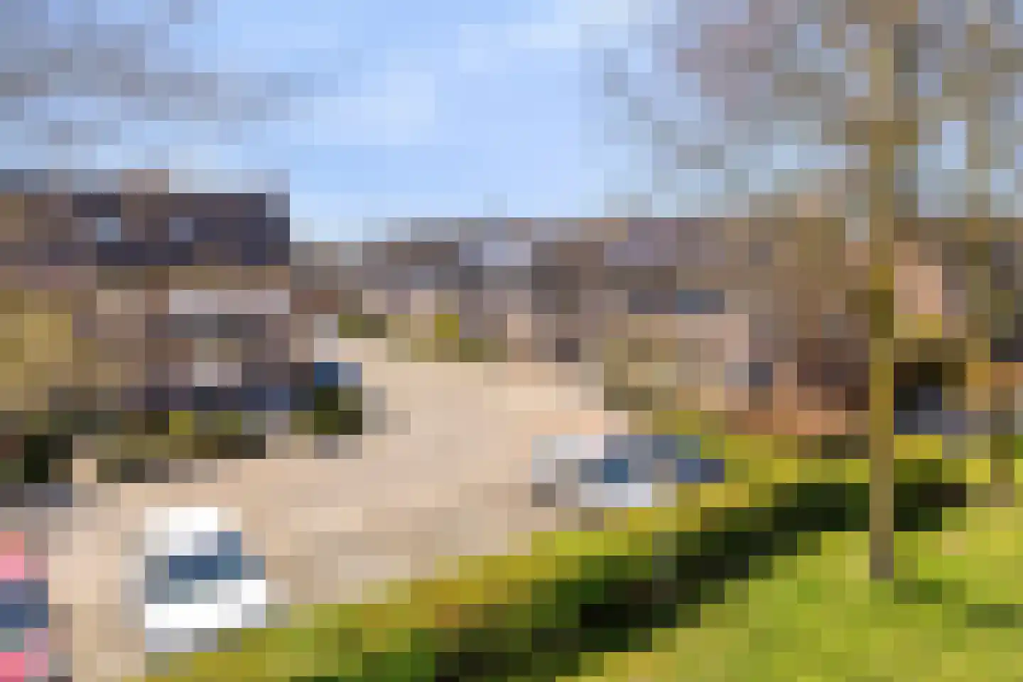 Cloete 24 Oirschot thumbnail 7
