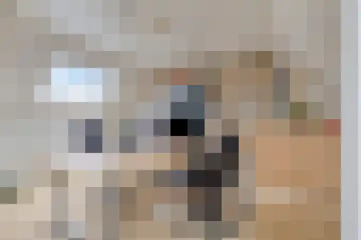 Cloete 32 Oirschot thumbnail 23