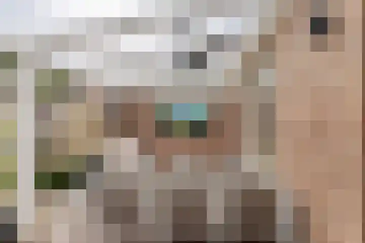 Cloete 32 Oirschot thumbnail 27