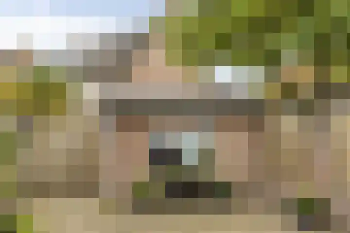 Cloete 32 Oirschot thumbnail 28