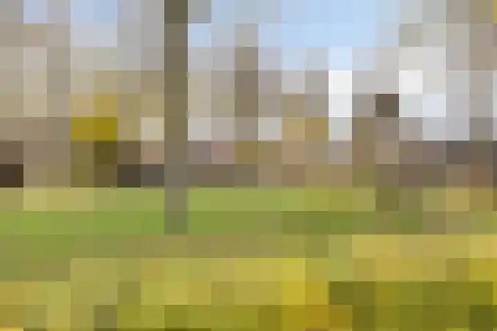 Cloete 32 Oirschot thumbnail 32