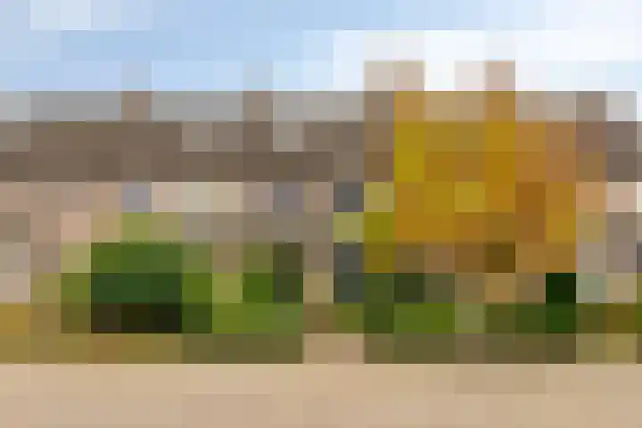 Cloete 32 Oirschot thumbnail 6