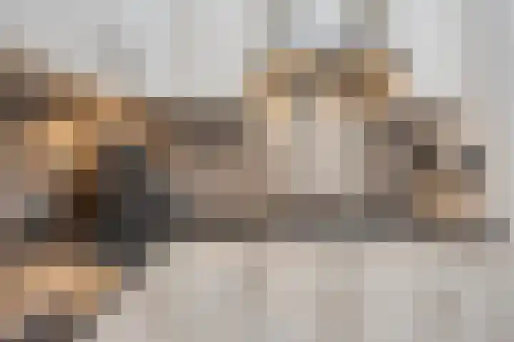 Cloete 45 Oirschot thumbnail 17