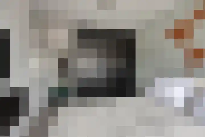 Cloete 45 Oirschot thumbnail 21