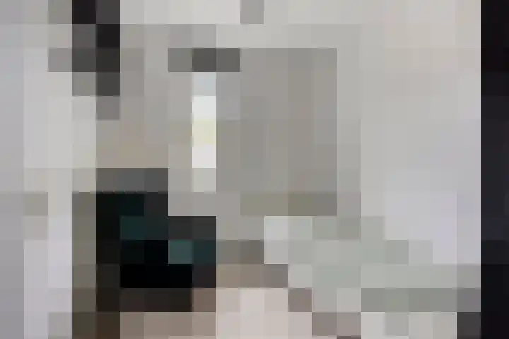 Cloete 45 Oirschot thumbnail 26