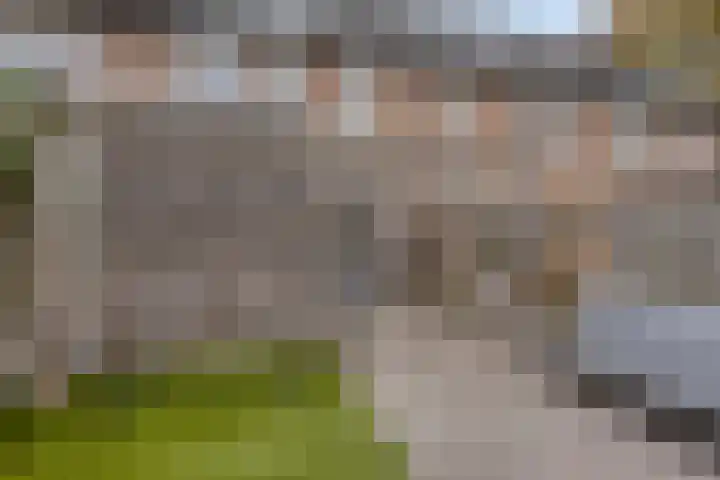 Cloete 45 Oirschot thumbnail 32