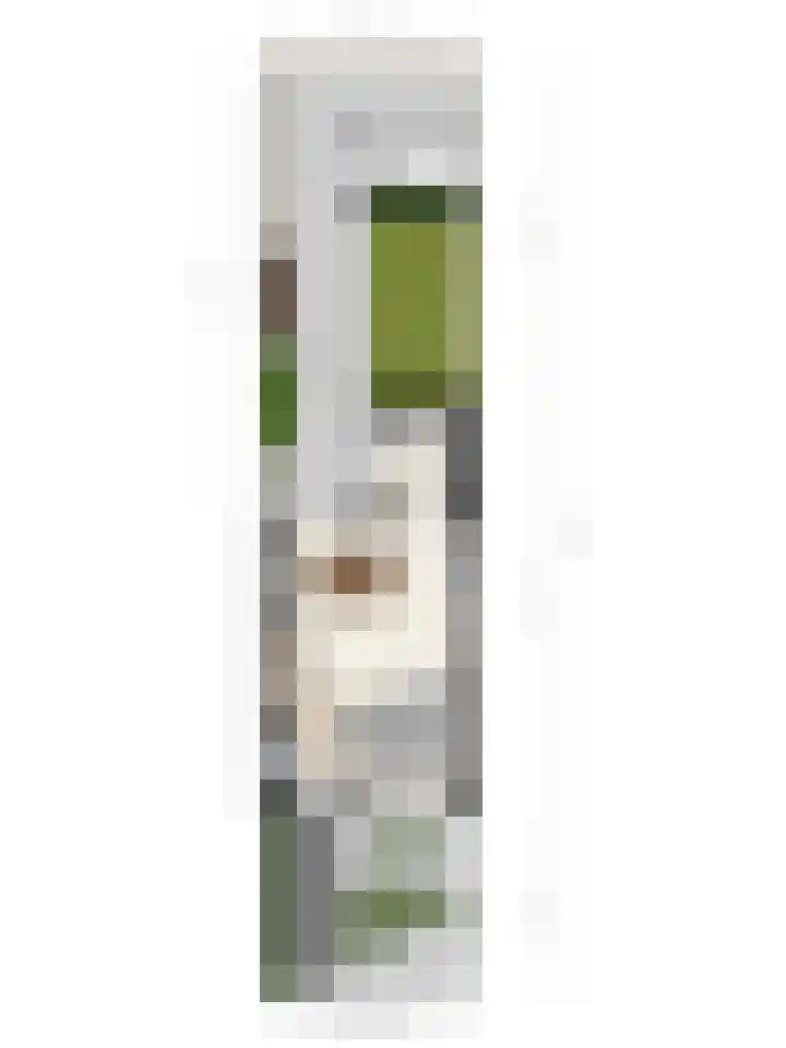 Cloete 45 Oirschot thumbnail 35