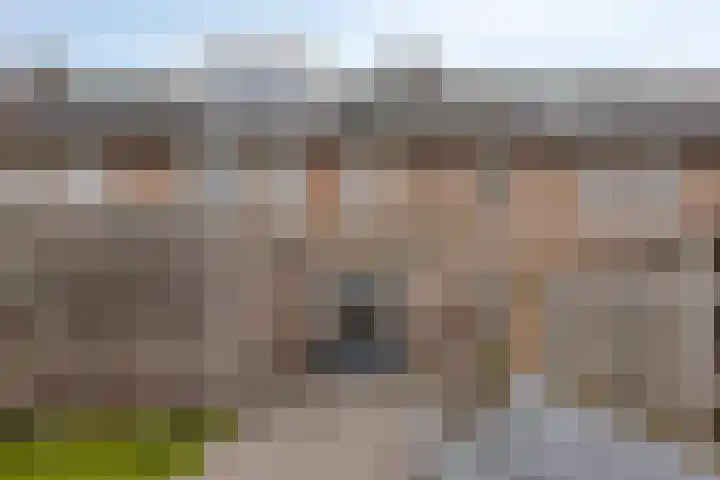 Cloete 45 Oirschot thumbnail 6
