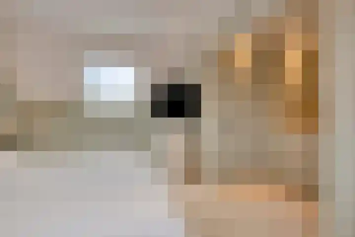 Cloete 48 Oirschot thumbnail 29
