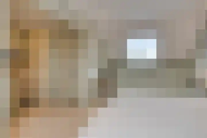 Cloete 48 Oirschot thumbnail 31