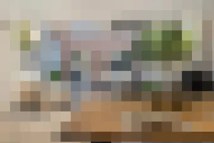 Cloete 48 Oirschot thumbnail 39