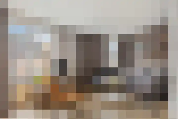 Cloete 54 Oirschot thumbnail 11