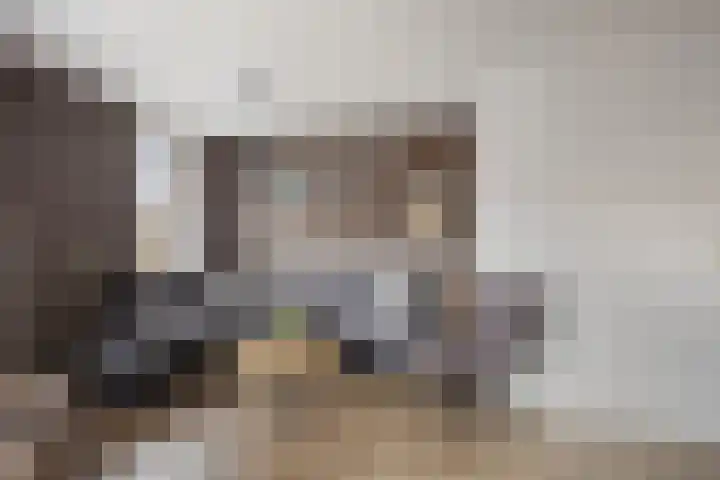 Cloete 54 Oirschot thumbnail 12