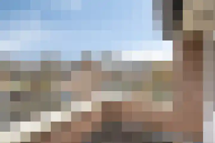 Cloete 54 Oirschot thumbnail 19