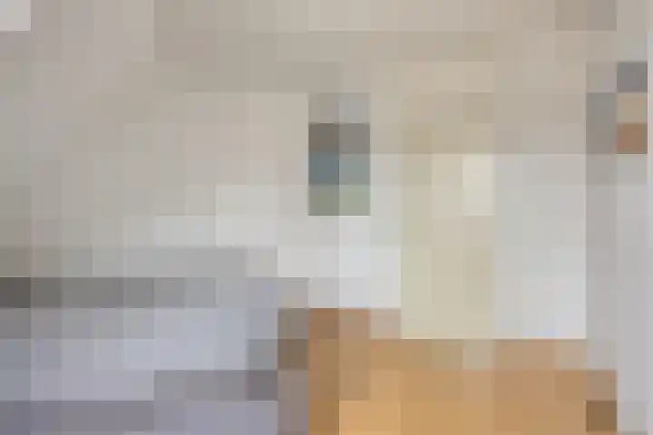 Cloete 54 Oirschot thumbnail 21