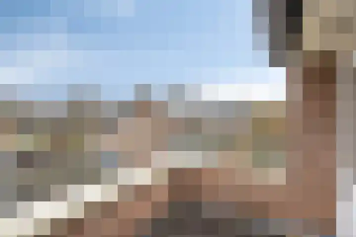 Cloete 54 Oirschot thumbnail 5