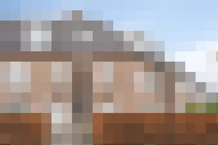 Cloete 54 Oirschot thumbnail 6