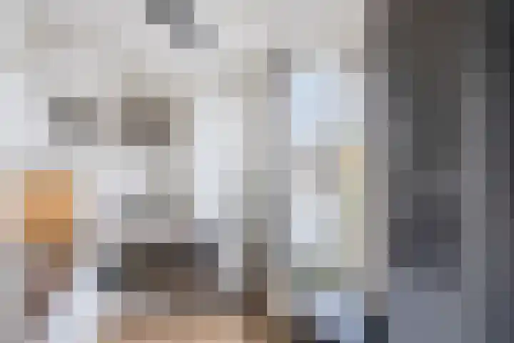 Cloete 62 Oirschot thumbnail 16