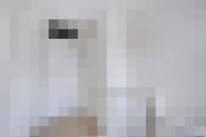 Cloete 62 Oirschot thumbnail 17
