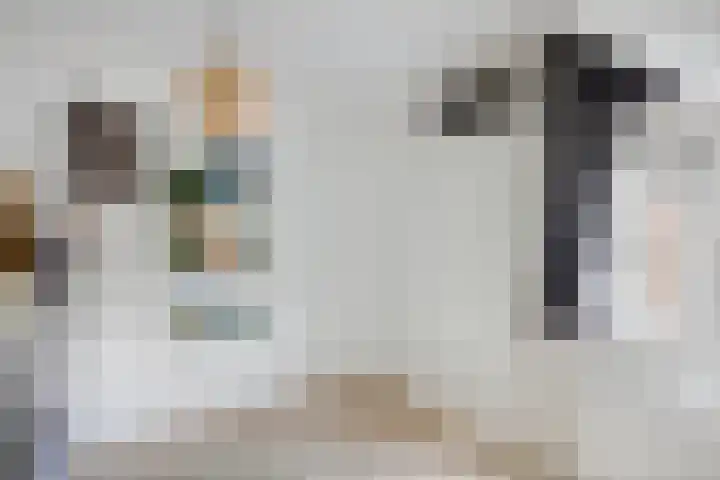 Cloete 62 Oirschot thumbnail 22