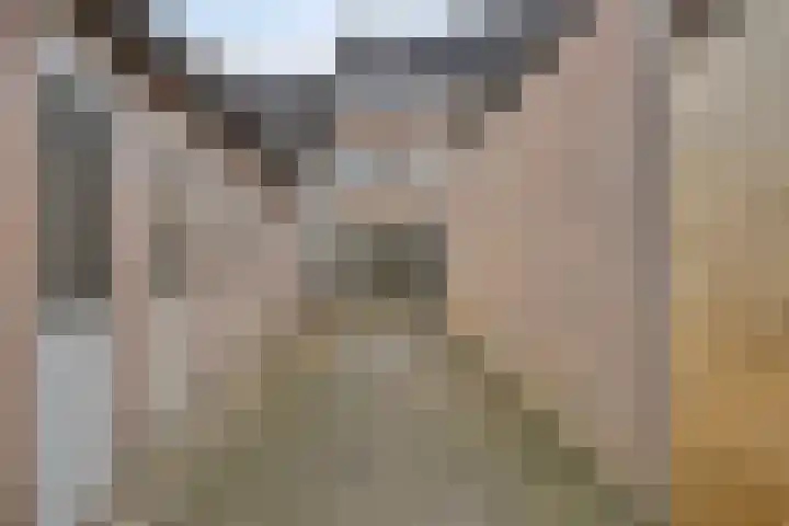 Cloete 62 Oirschot thumbnail 28